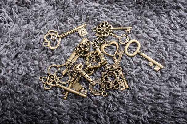 20 نکته برای انتخاب سگ با تحمل تنهایی بالا و معرفی 10 نژاد مناسب