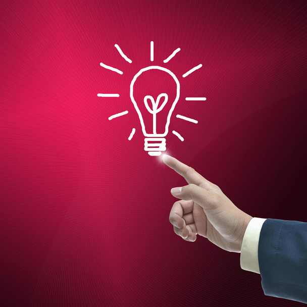 16 نکته جذاب درباره گربه اسفینکس: ابوالهول دوست داشتنی