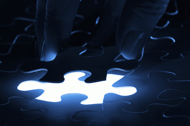 14 نکته برای تغذیه سگ باردار و شیرده