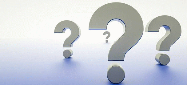 آیا کدو تنبل برای سگ ها مفید است یا مضر؟ 18 نکته مهم